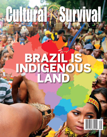 CSQ 49-3. Brazil Is Indigenous Land