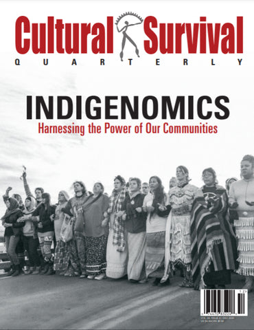 CSQ 44-4: Indigenomics: Harnessing the Power of Our Communities